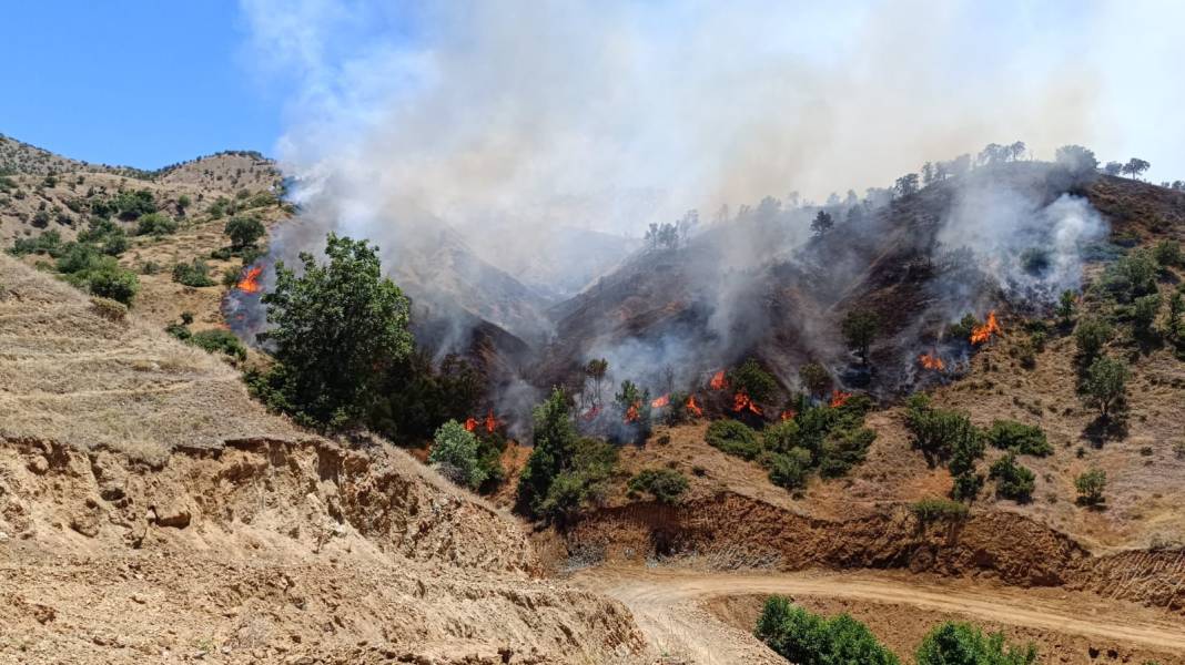 Bingöl'ün Genç ve Kiğı ilçelerinde orman yangını 9